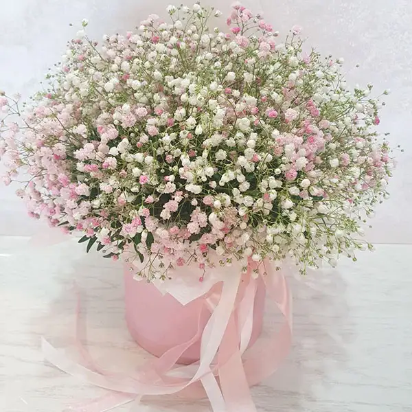 Шляпная коробка с гипсофилой Зефирка