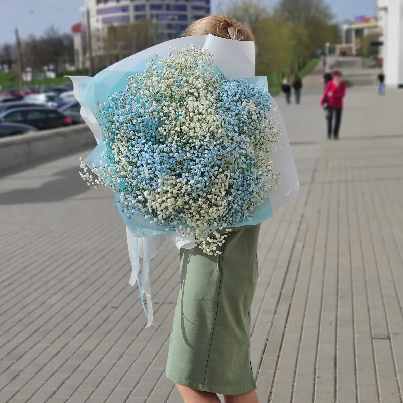 Букет из гипсофилы Облако