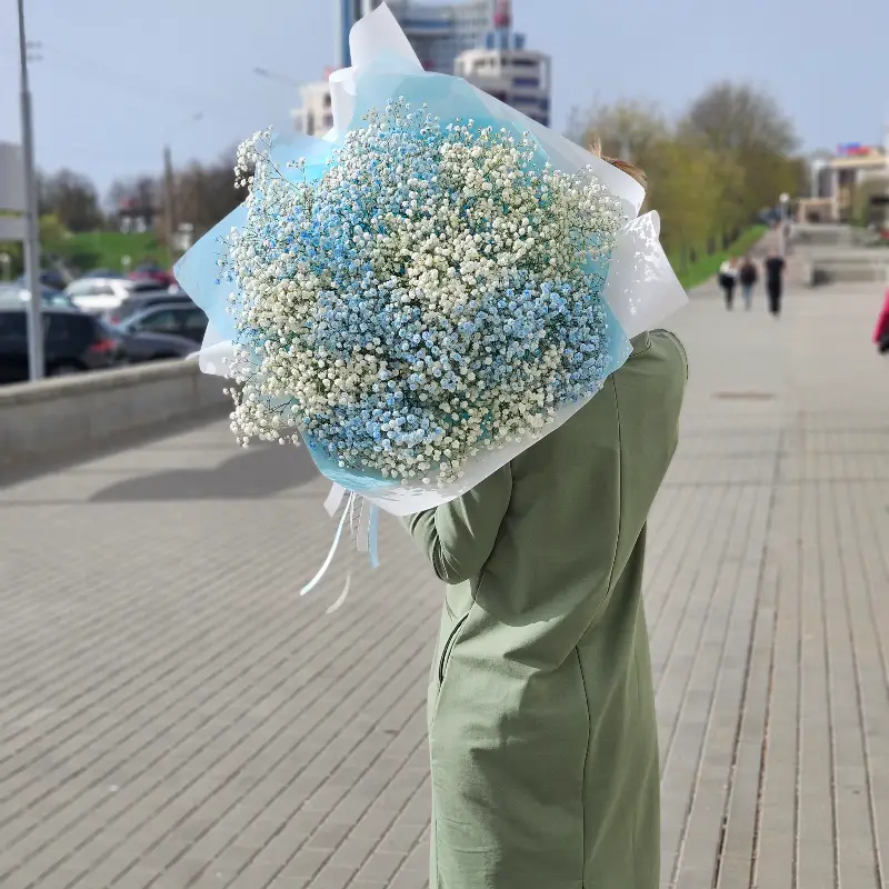 Букет из гипсофилы Облако