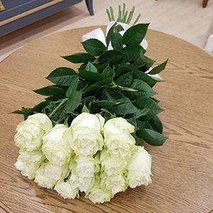 Букет из 9 белых роз, 60 см, Эквадор 