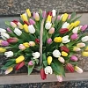 Корзина тюльпанов  Роскошь 
